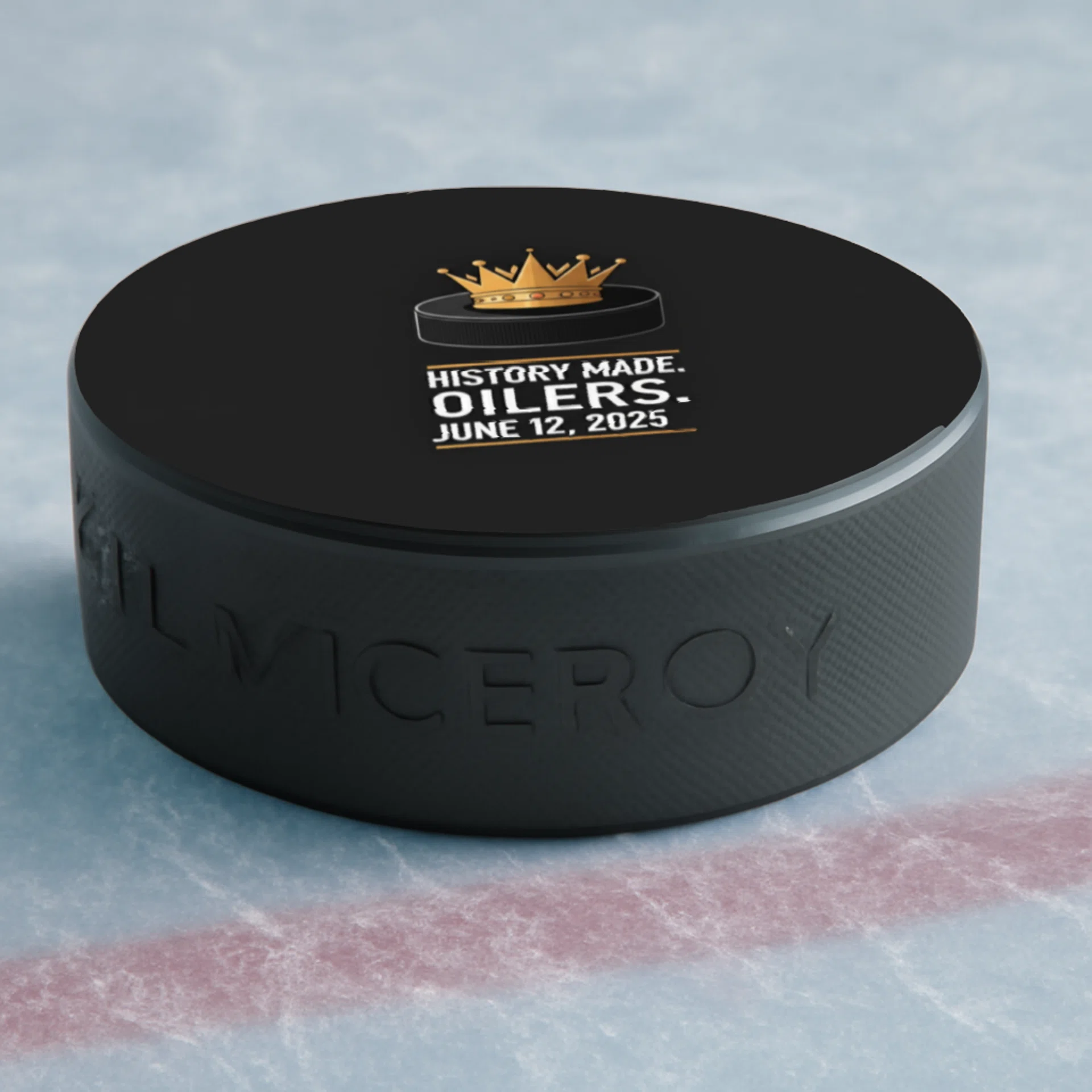 Hockey Puck Görsel 2