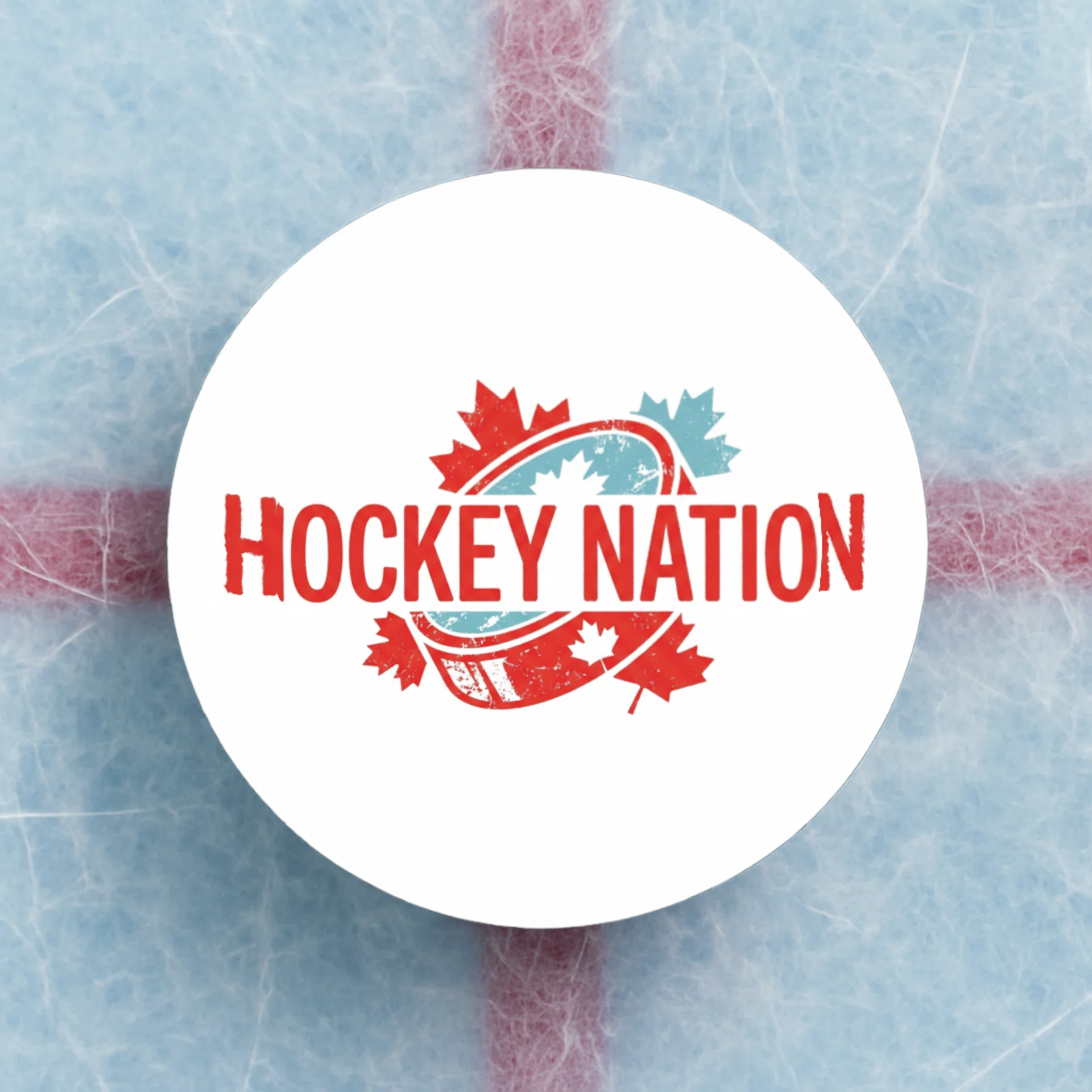 Hockey Puck Görsel 2
